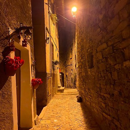 Romantic Home Stone With Amazing View Lake Of Como And Oleandra 拉利奥 外观 照片