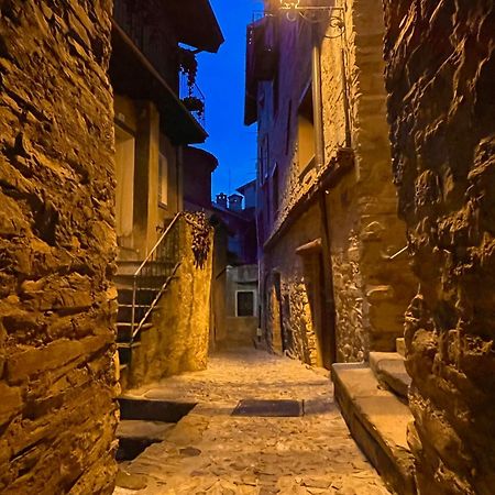 Romantic Home Stone With Amazing View Lake Of Como And Oleandra 拉利奥 外观 照片