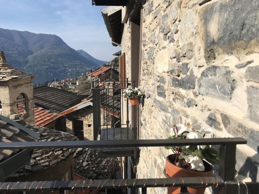Romantic Home Stone With Amazing View Lake Of Como And Oleandra 拉利奥 外观 照片