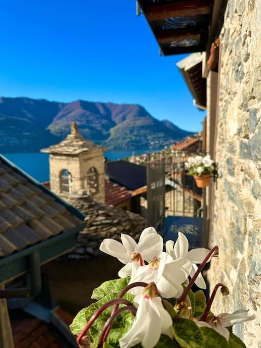 Romantic Home Stone With Amazing View Lake Of Como And Oleandra 拉利奥 外观 照片