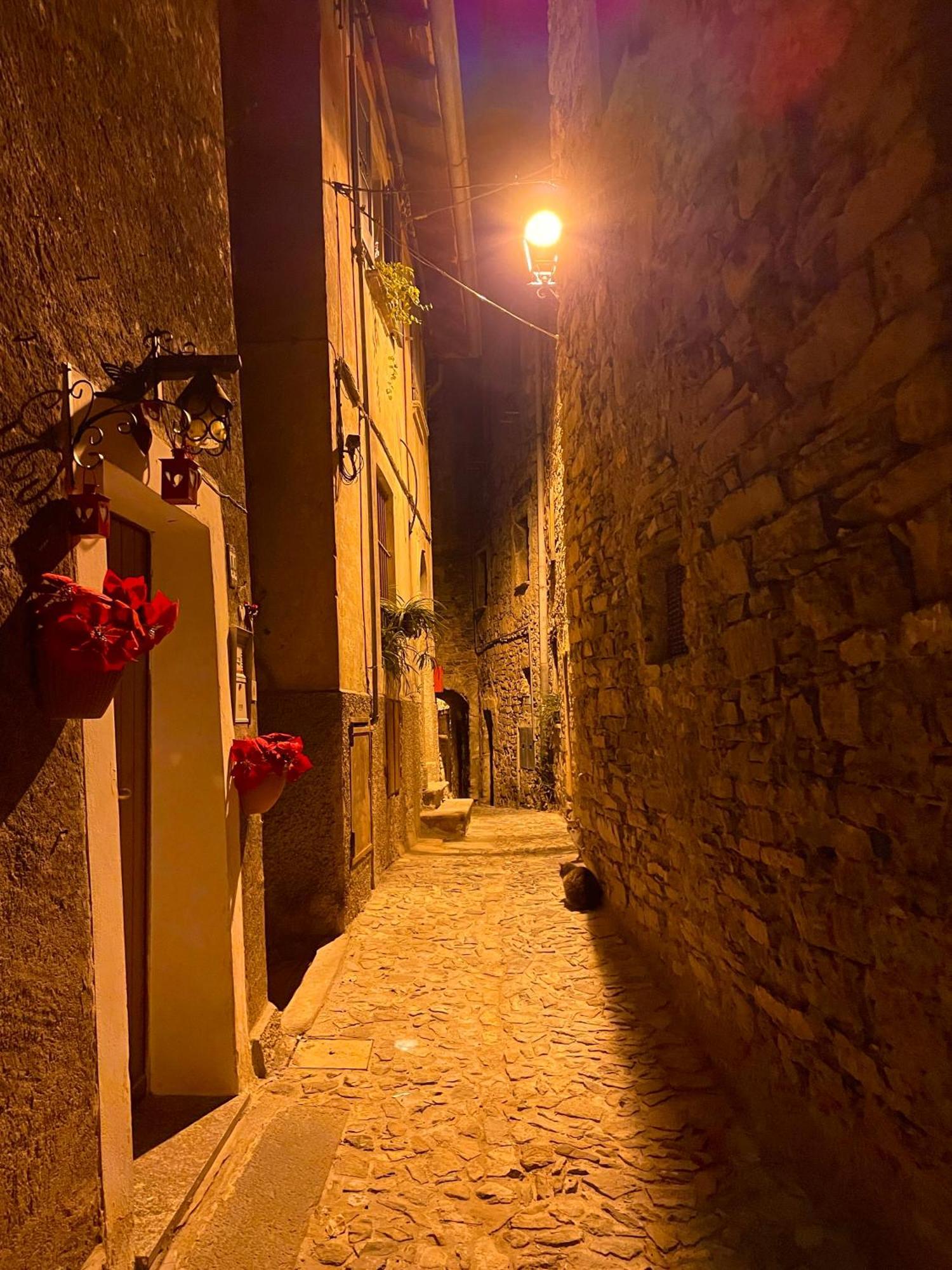Romantic Home Stone With Amazing View Lake Of Como And Oleandra 拉利奥 外观 照片