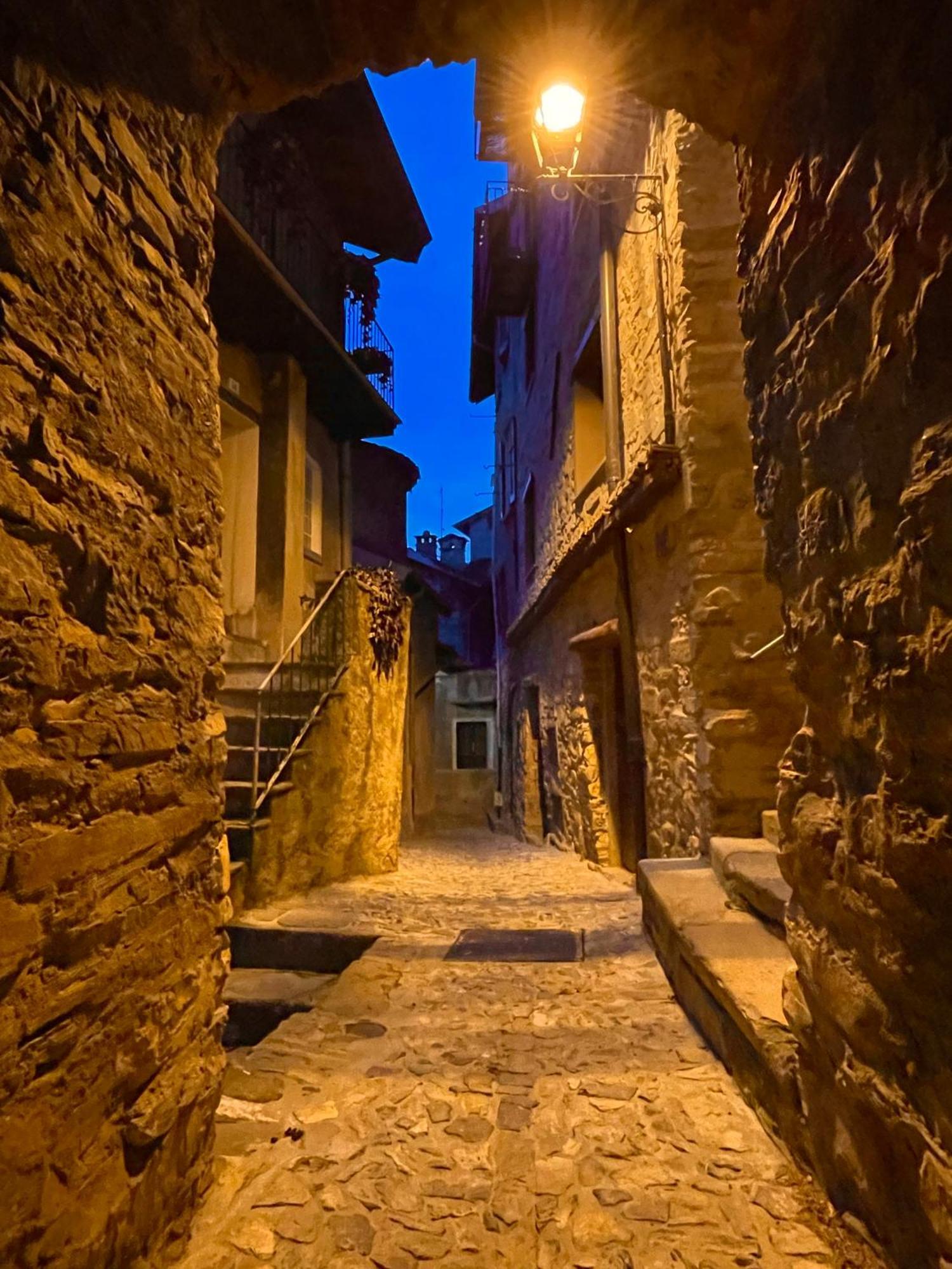 Romantic Home Stone With Amazing View Lake Of Como And Oleandra 拉利奥 外观 照片
